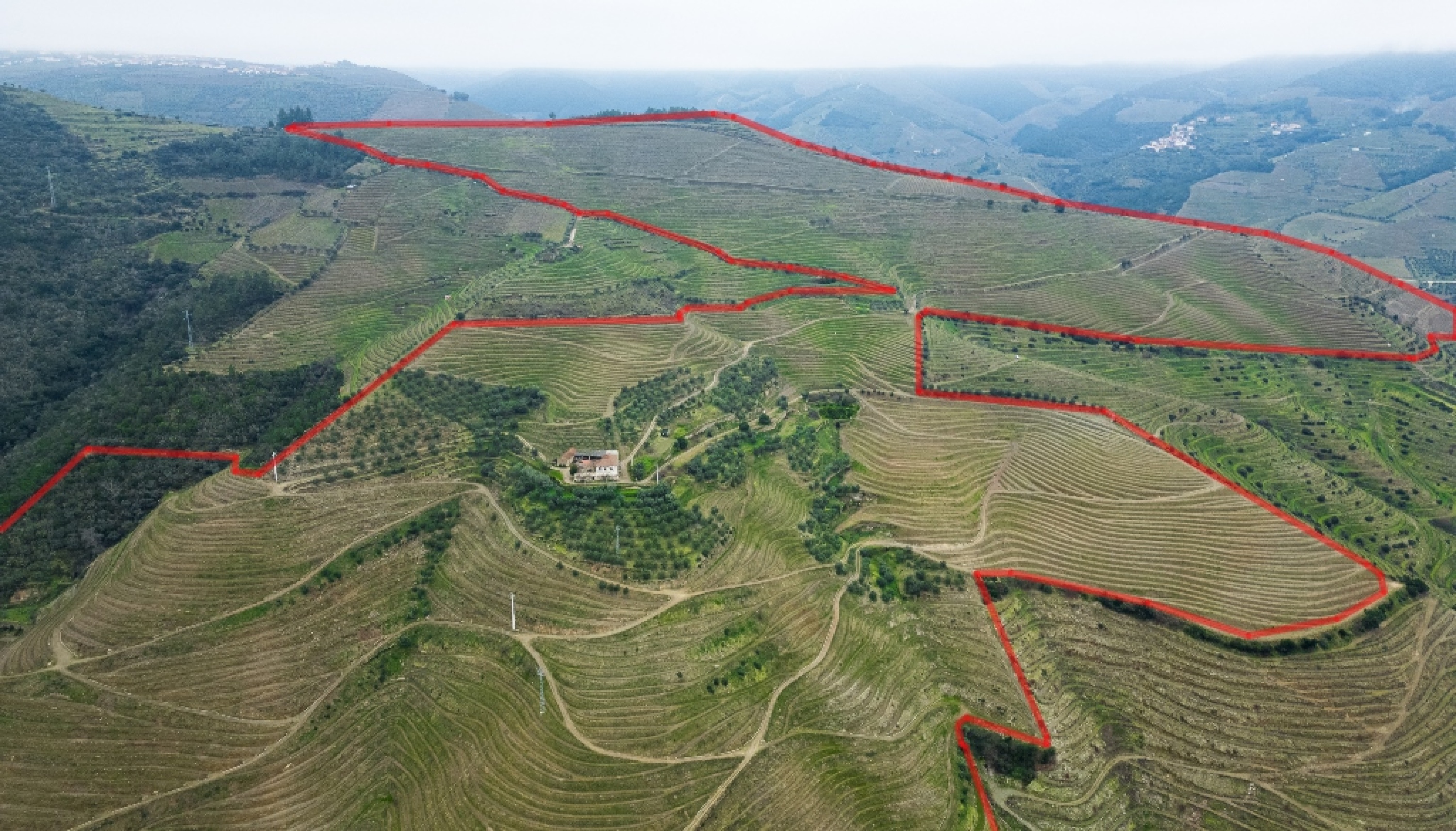 Domaine viticole à vendre dans Vallée du Douro, Portugal