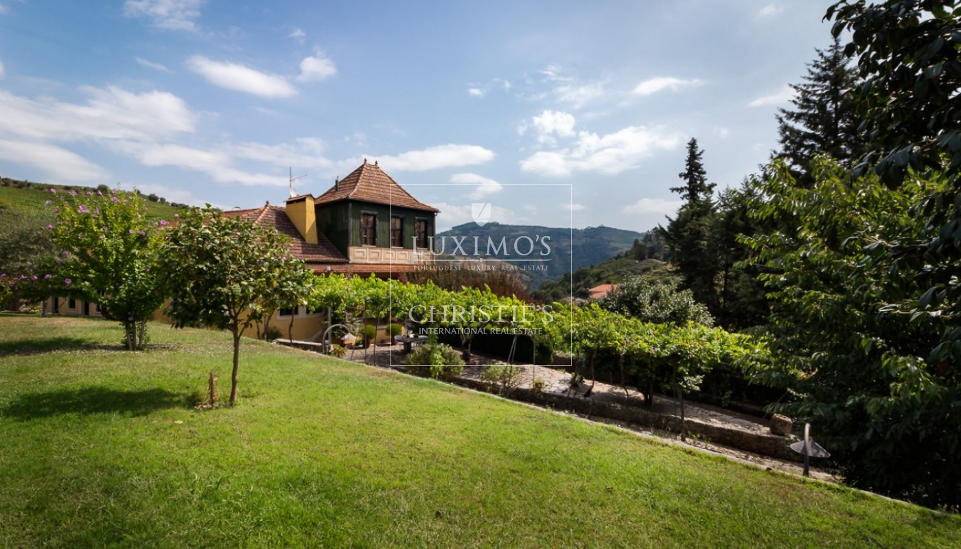 Vineyard farms for sale in Douro, North of Portugal