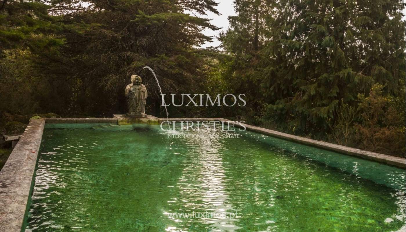 Country House with a wine cellar, a swimming pool and fruit trees in the North of Portugal_1005