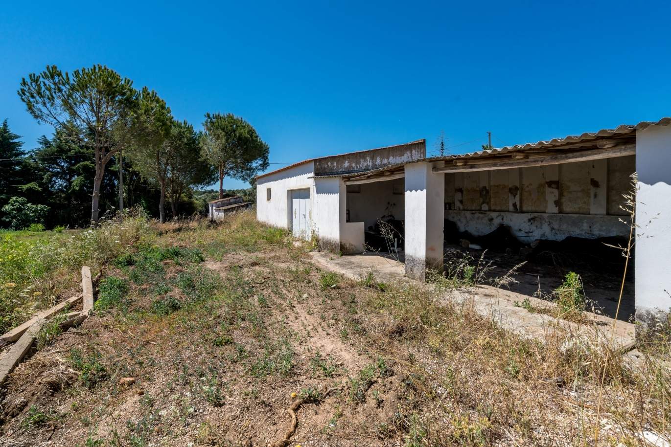 Venda de propriedade em Alcantarilha, Silves, Algarve_105715