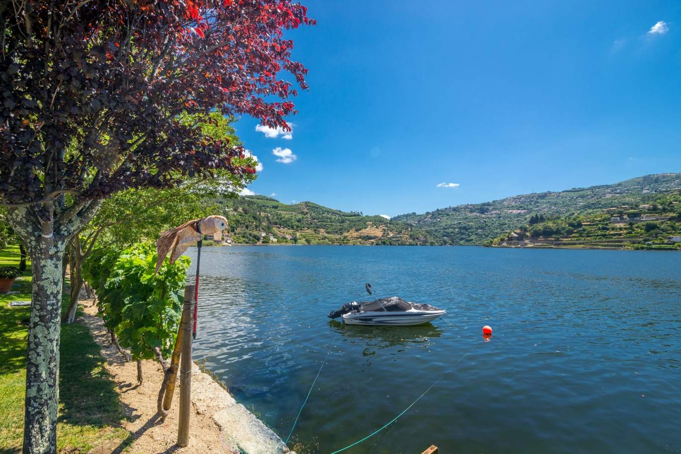 Venda de moradia com 100m de frente de rio, piscina e jardim, Baião_107034
