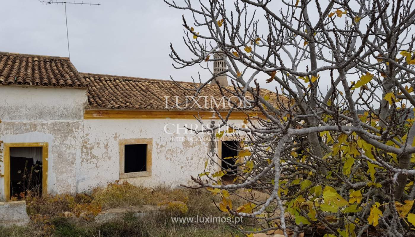 Venda de terreno com ruína em Vale Judeu, Loulé, Algarve
