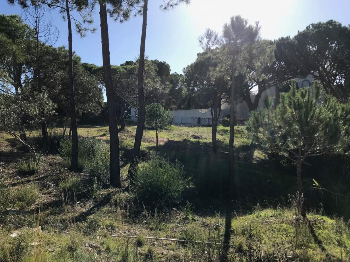 Sale of plot of land for construction in Almancil, Algarve, Portugal_110384