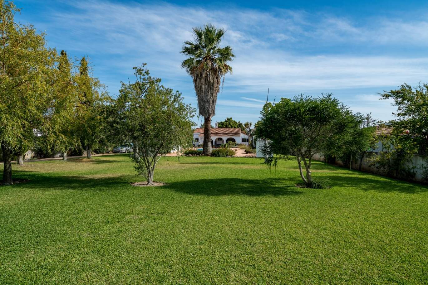 Sale of villa with pool and garden in Almancil, Algarve, Portugal_119445