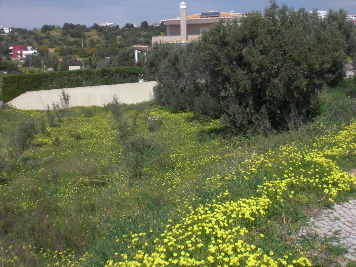 Plot land for sale, views to the Marina of Albufeira, Algarve,Portugal_121524