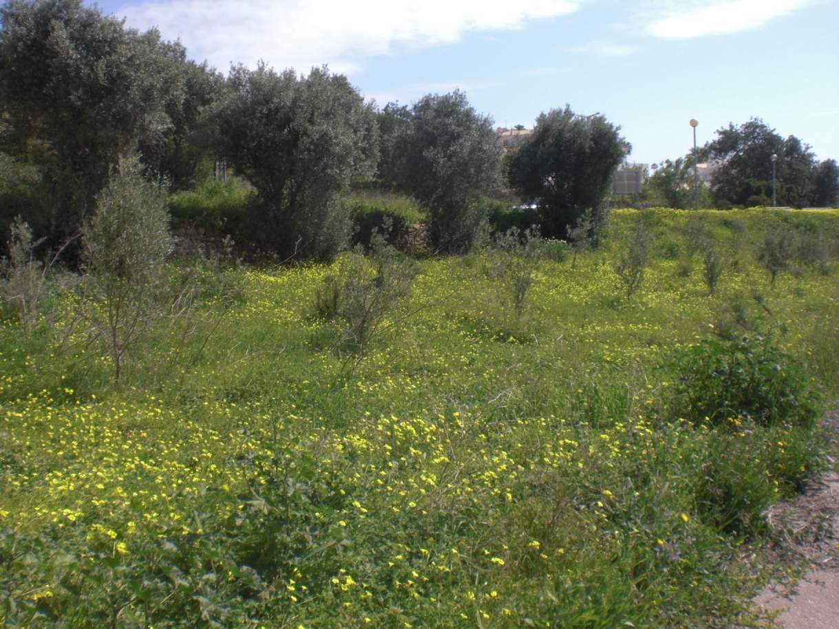 Plot land for sale, views to the Marina of Albufeira, Algarve,Portugal_121526