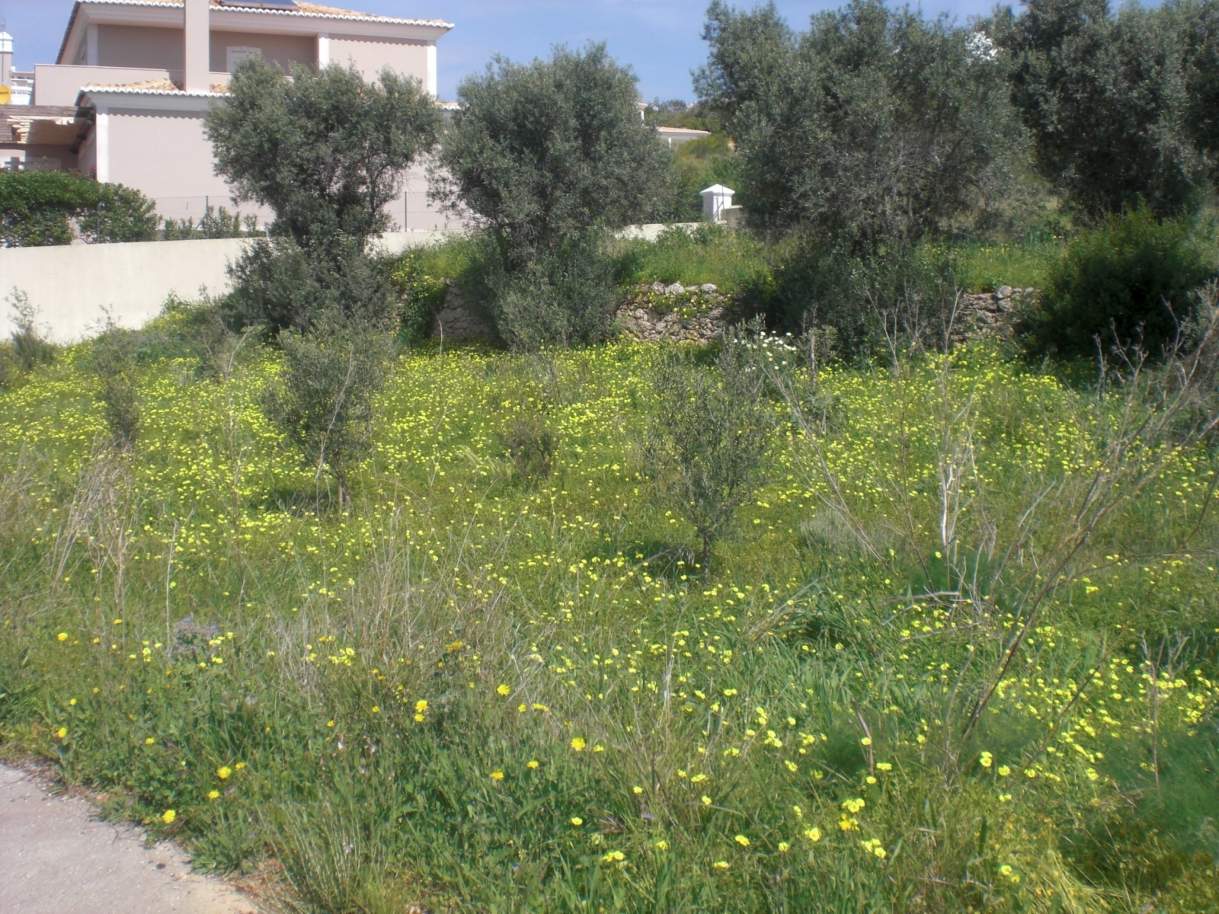 Plot land for sale, views to the Marina of Albufeira, Algarve,Portugal_121530