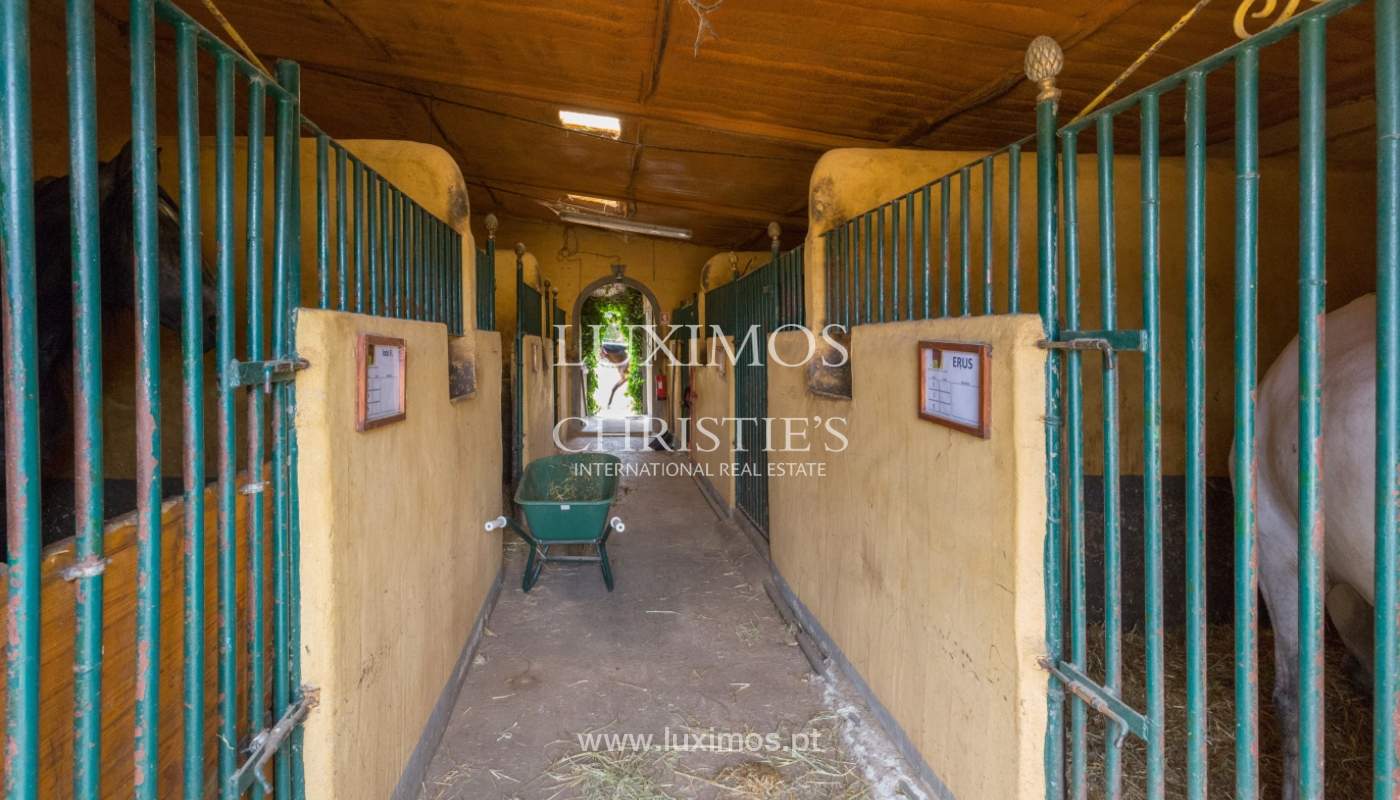 Bauernhof mit Reitschule für Verkauf, Loule, Algarve, Portugal_121693