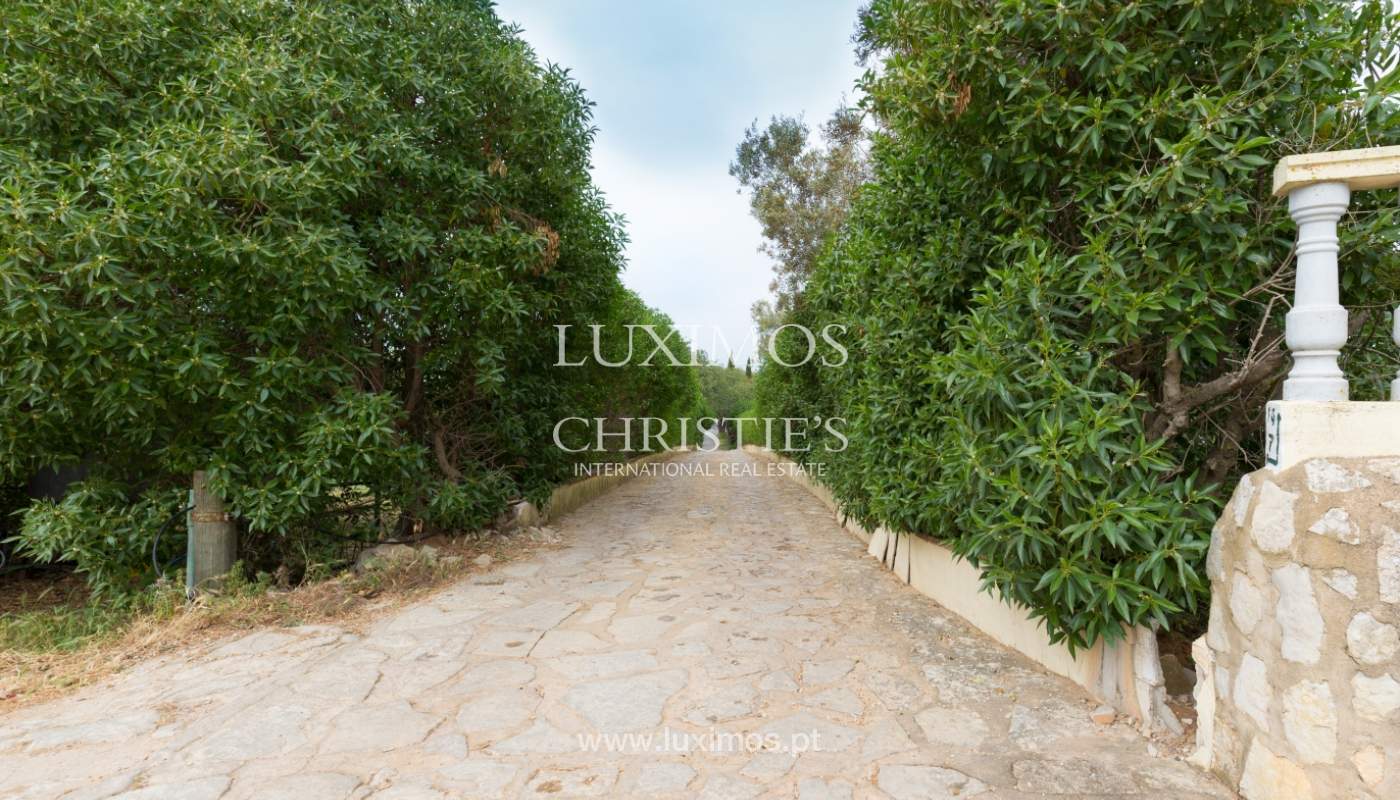 Bauernhof mit Reitschule für Verkauf, Loule, Algarve, Portugal_121695