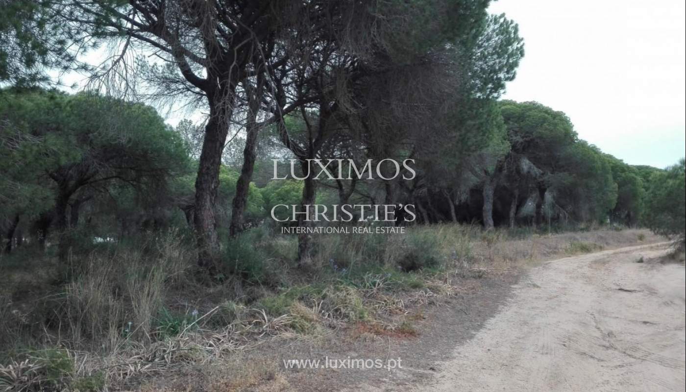 Terreno para venda perto da praia, Vale de Garrão, Algarve, Portugal_121722