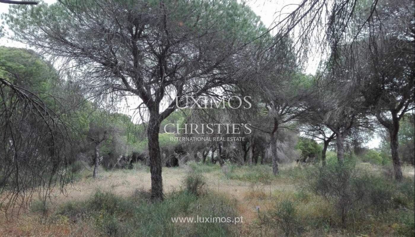 Terreno para venda perto da praia, Vale de Garrão, Algarve, Portugal_121726
