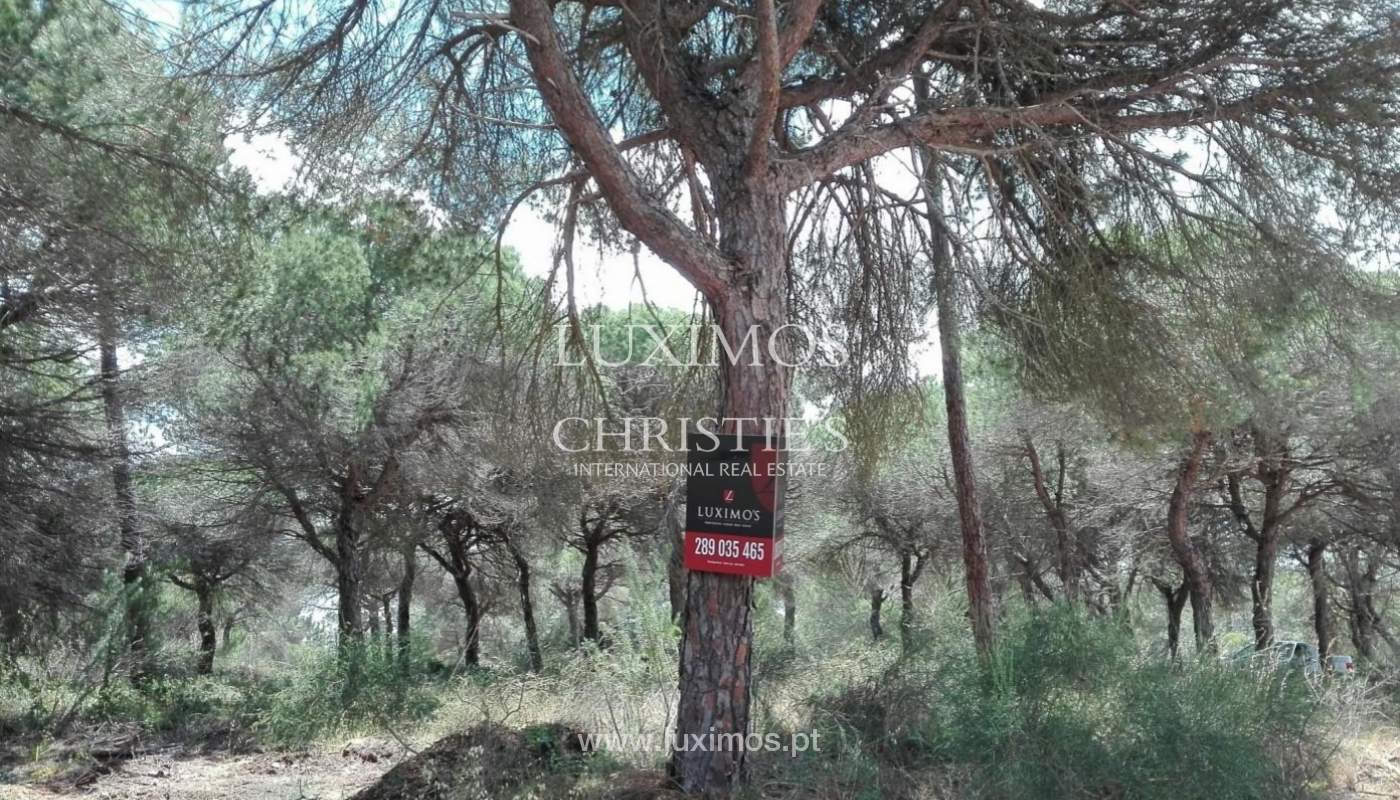 Terreno para venda perto da praia, Vale de Garrão, Algarve, Portugal_121727