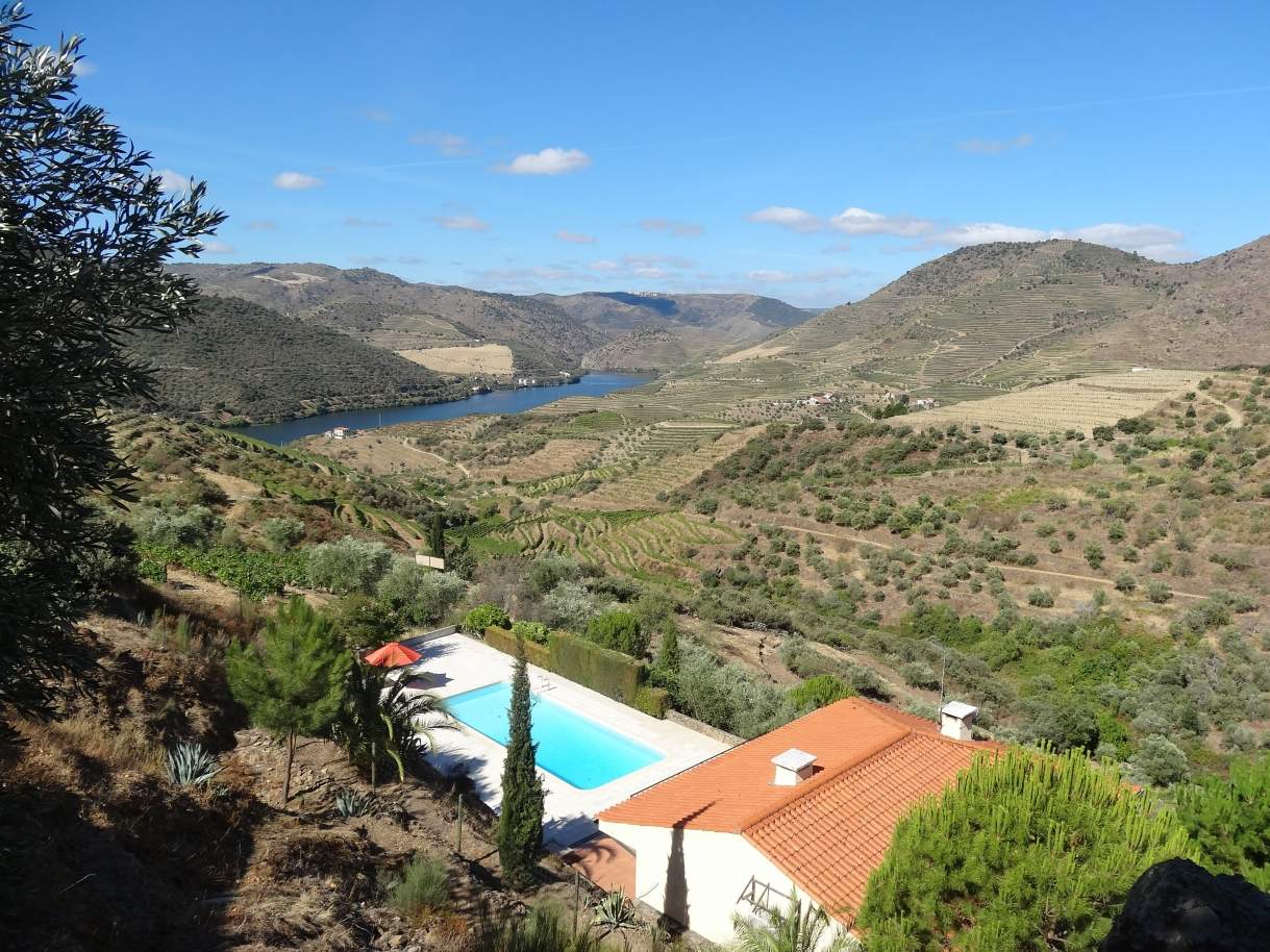 Farm with views to Douro river, Douro Demarcated Region, Portugal_129435