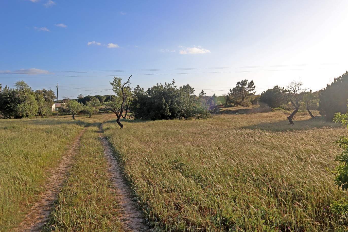 Sale of land in Almancil, Algarve, Portugal_137015
