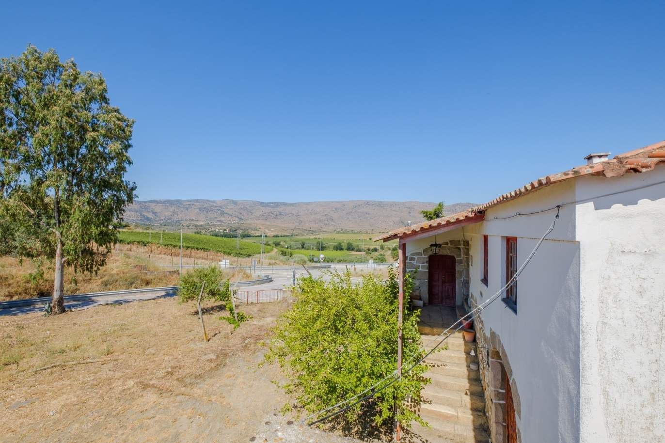 Verkauf: landwirtschaftlicher Besitz in der Region Douro Superior, Portugal_143828