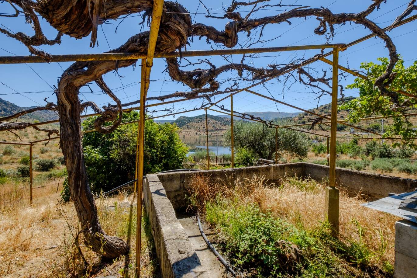 Sale: agricultural property in the region of Douro Superior, Portugal_143852