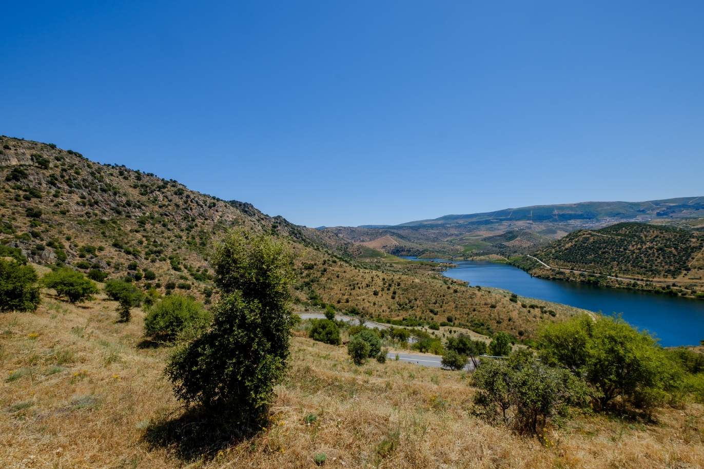 Sale: agricultural property in the region of Douro Superior, Portugal_143859