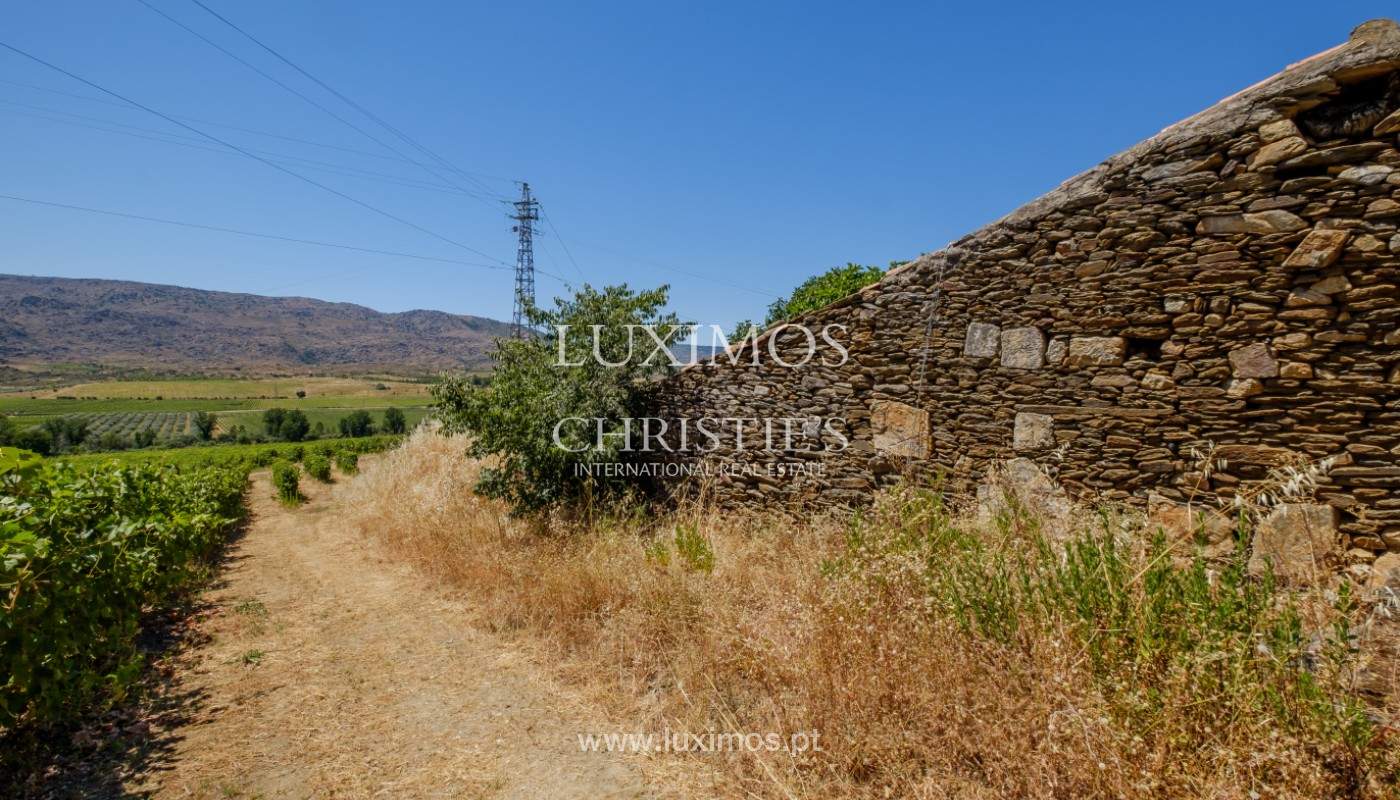 Farm/Ranch/Plantation's Image 24