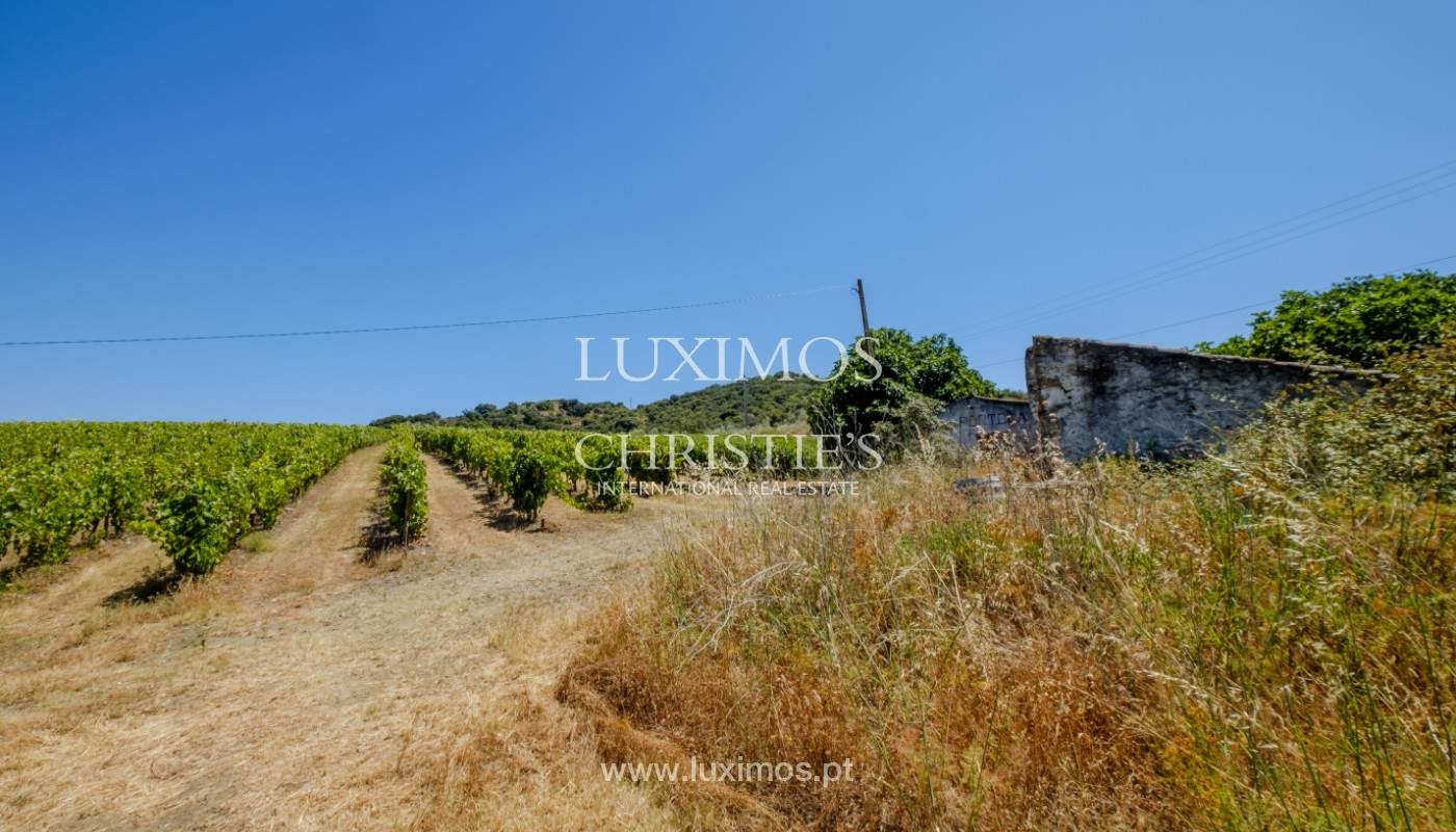 Farm/Ranch/Plantation's Image 23