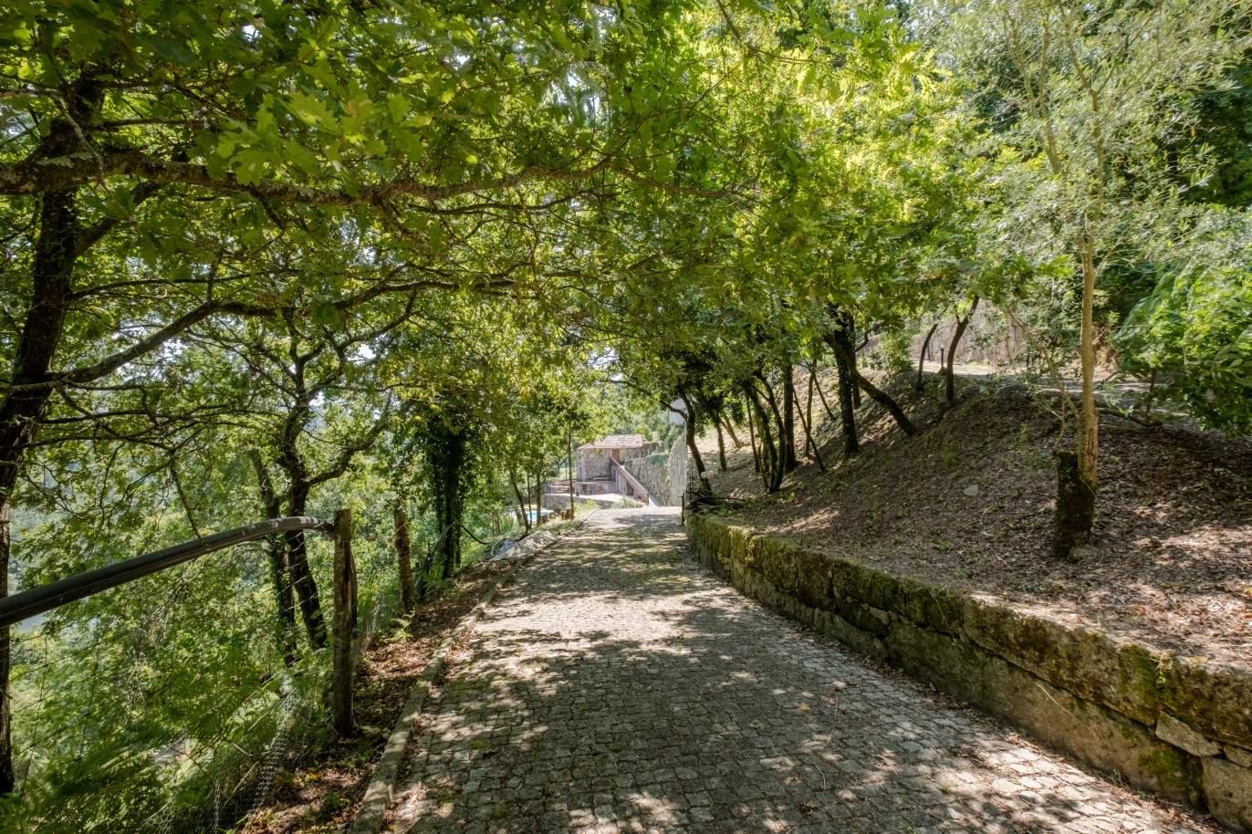 Quinta con vistas al río Douro, en venta, en Cinfães, Portugal_144062