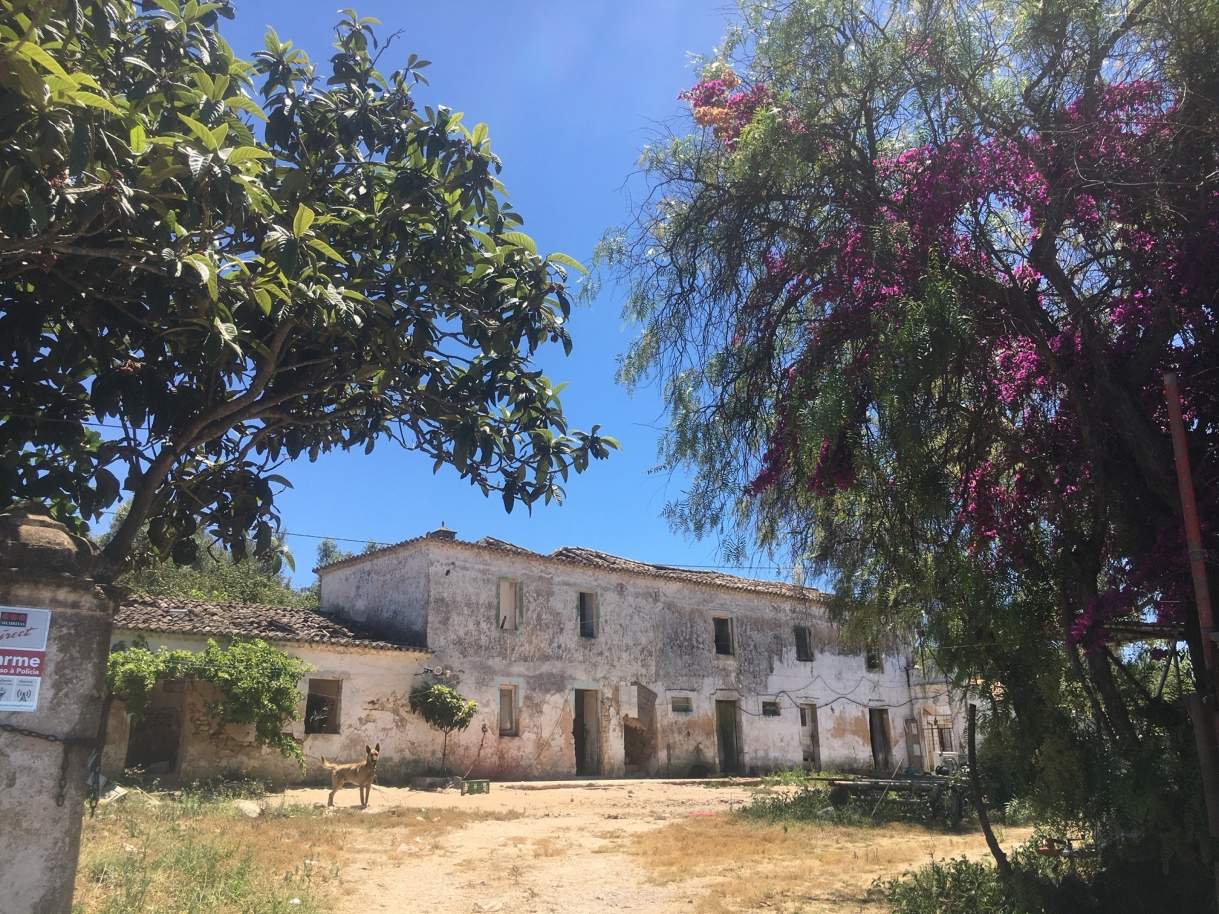 Farm and plot of land with ruin, Lagoa, Algarve_144874