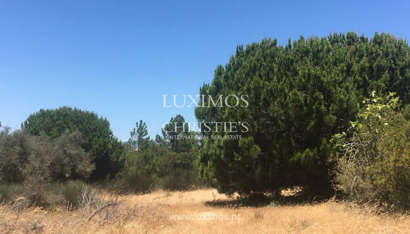 Land by the beach, for sale, Caramujeira, Lagoa, Algarve_144876
