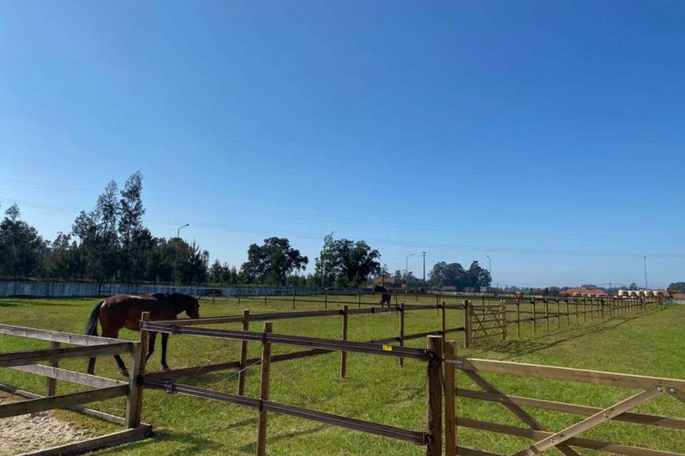 Equestrian Centre, for sale, in Oliveira de Azeméis, Portugal_150039