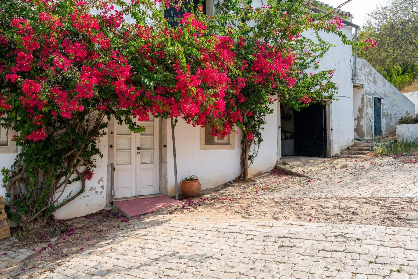 Villa de 3 chambres, São Brás de Alportel, Algarve_151672