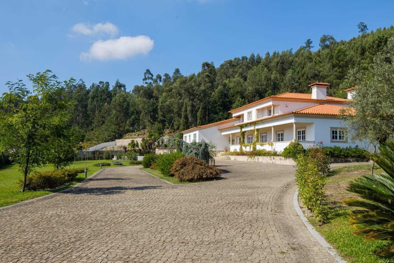 Típica casa portuguesa con jardín y piscina, en venta, Guimarães, Portugal_153283