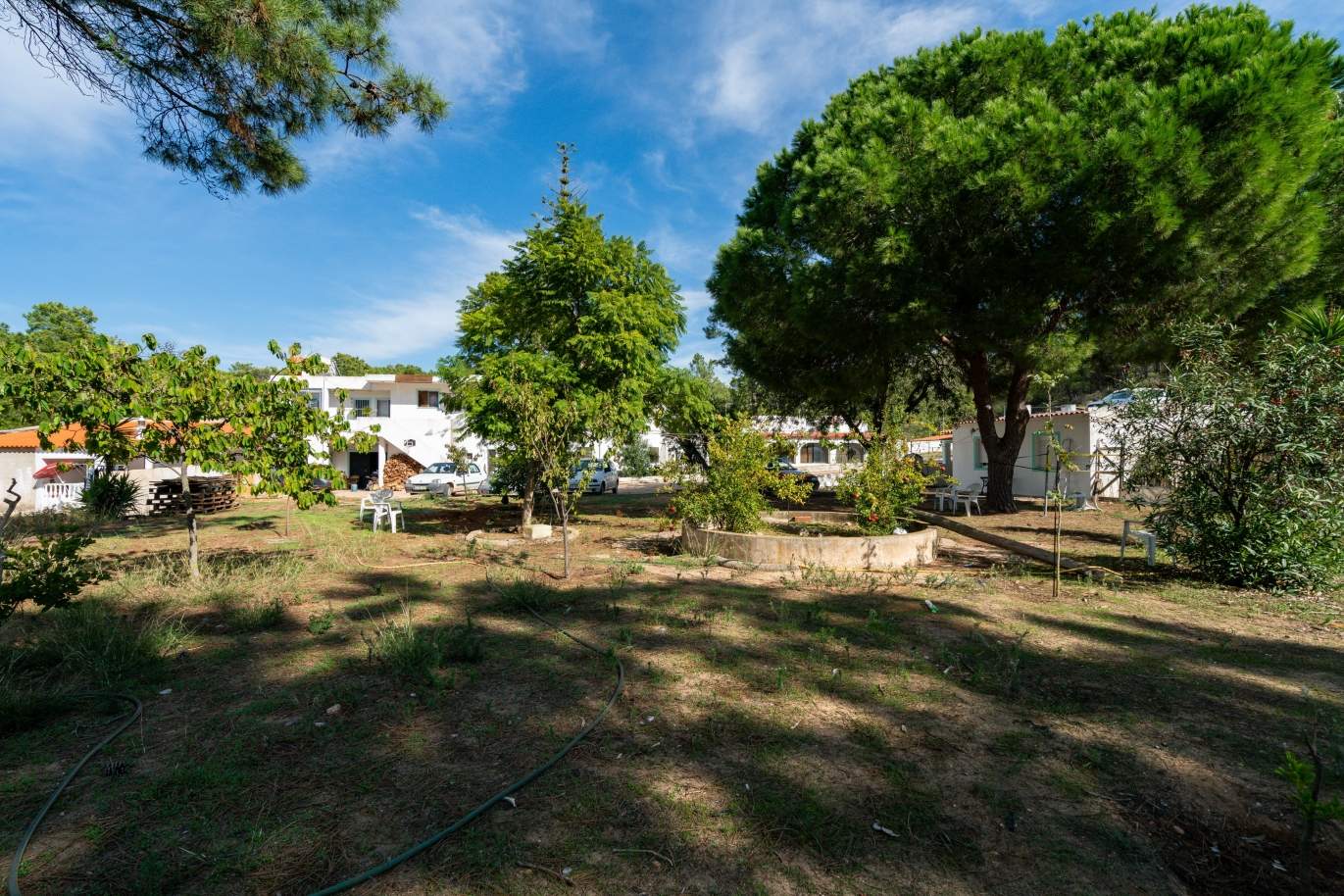 Bauernhof mit großem Grundstück, im Naturpark Ria Formosa, Faro, Algarve_155946