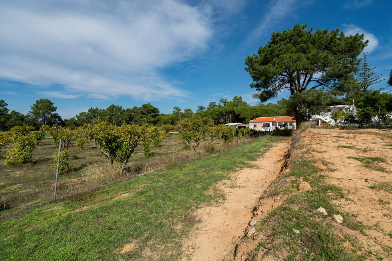 Bauernhof mit großem Grundstück, im Naturpark Ria Formosa, Faro, Algarve_155947