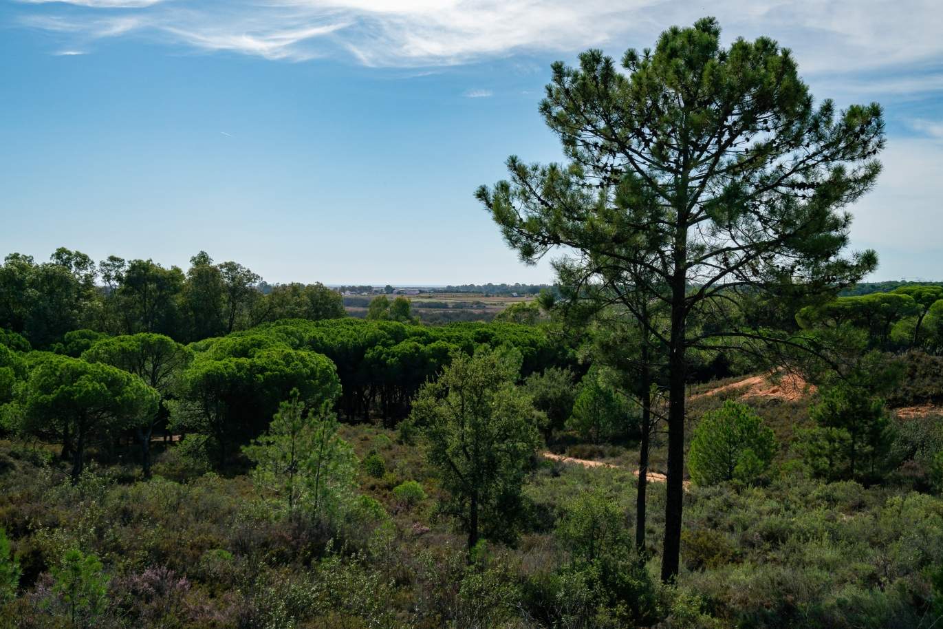 Bauernhof mit großem Grundstück, im Naturpark Ria Formosa, Faro, Algarve_155969