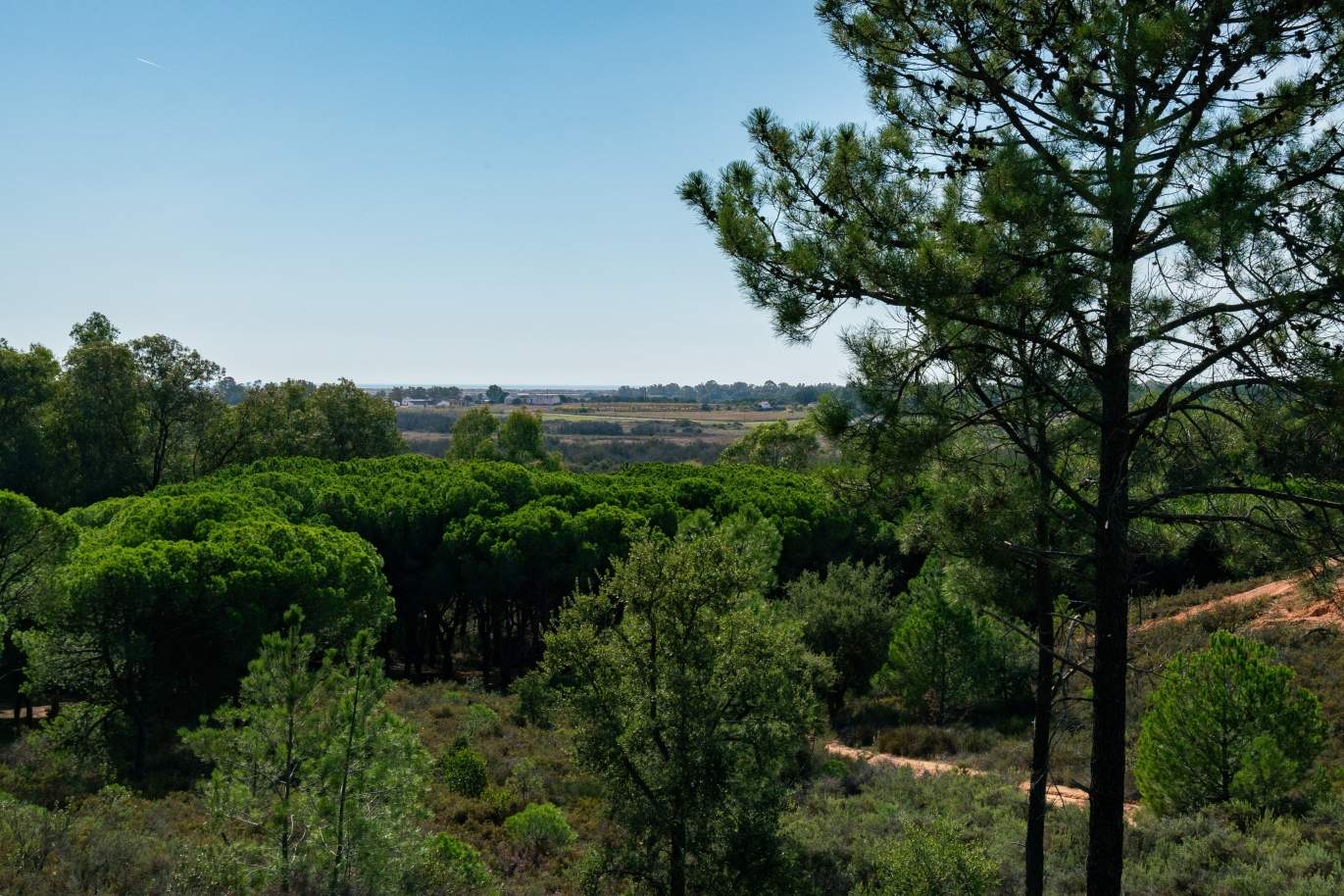 Bauernhof mit großem Grundstück, im Naturpark Ria Formosa, Faro, Algarve_155970