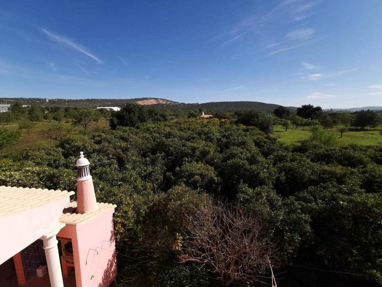 Bauernhof mit 4-Schlafzimmer-Villa und großem Grundstück, Boliqueime, Algarve_158046