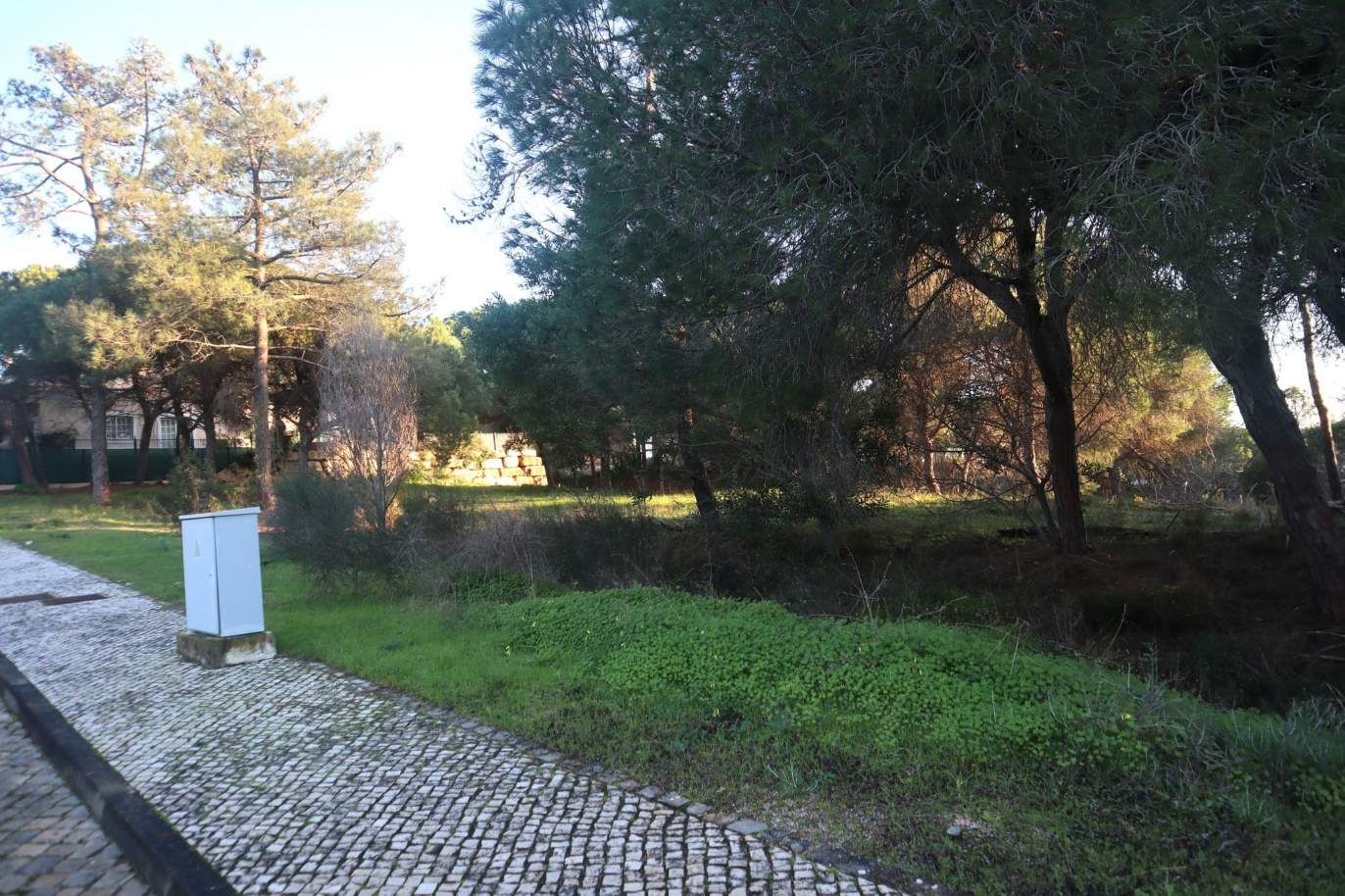 Plot of land with possibility to build a villa, Vale do Lobo, Algarve_159185