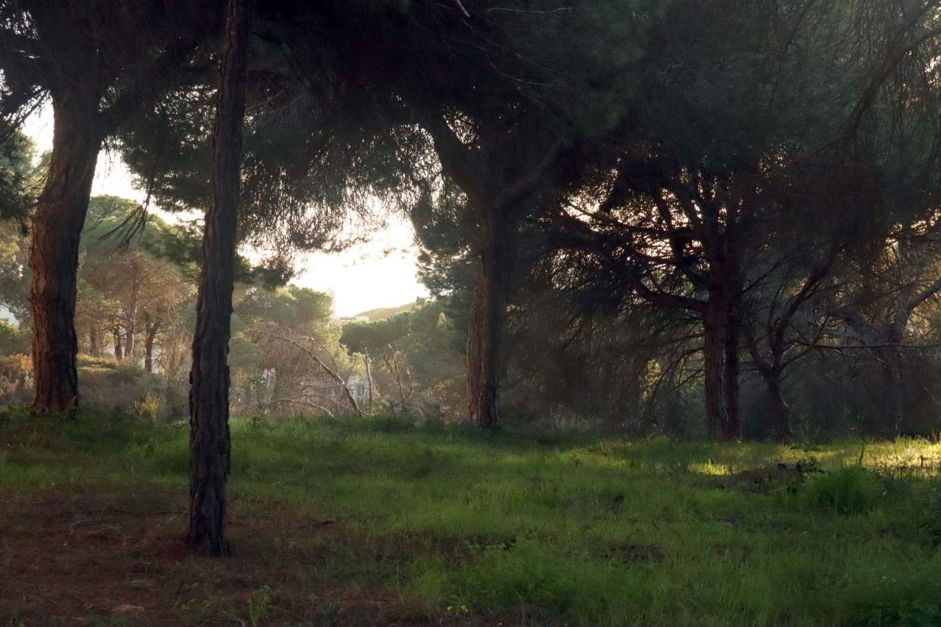 Land for sale in Loulé, Portugal — €1,975,000