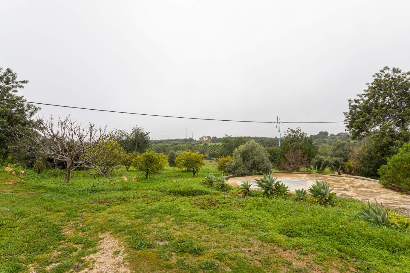 Farm with 2 bedroom villa & 2 independent cottages, Luz de Tavira, Algarve_161674