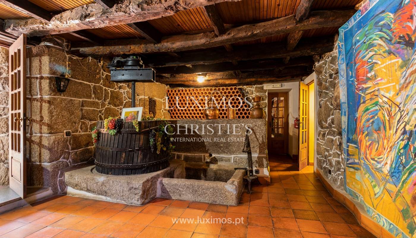 Verkauf einer Weinfarm am Fluss Douro, in Castelo de Paiva, Nordportugal_171229