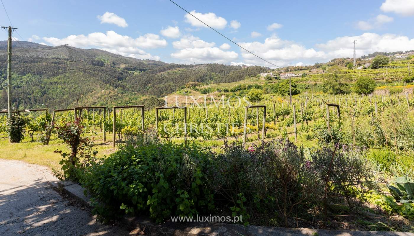 Verkauf einer Weinfarm am Fluss Douro, in Castelo de Paiva, Nordportugal_171240