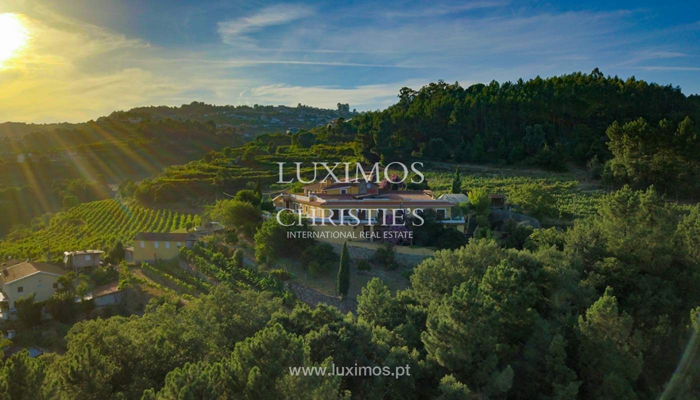 Verkauf einer Weinfarm am Fluss Douro, in Castelo de Paiva, Nordportugal_171248