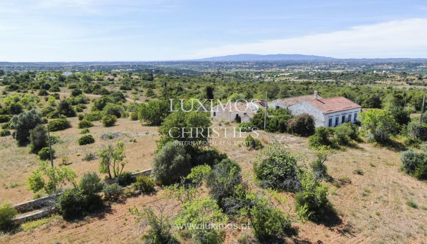 Land/Vacant Land's Image 5