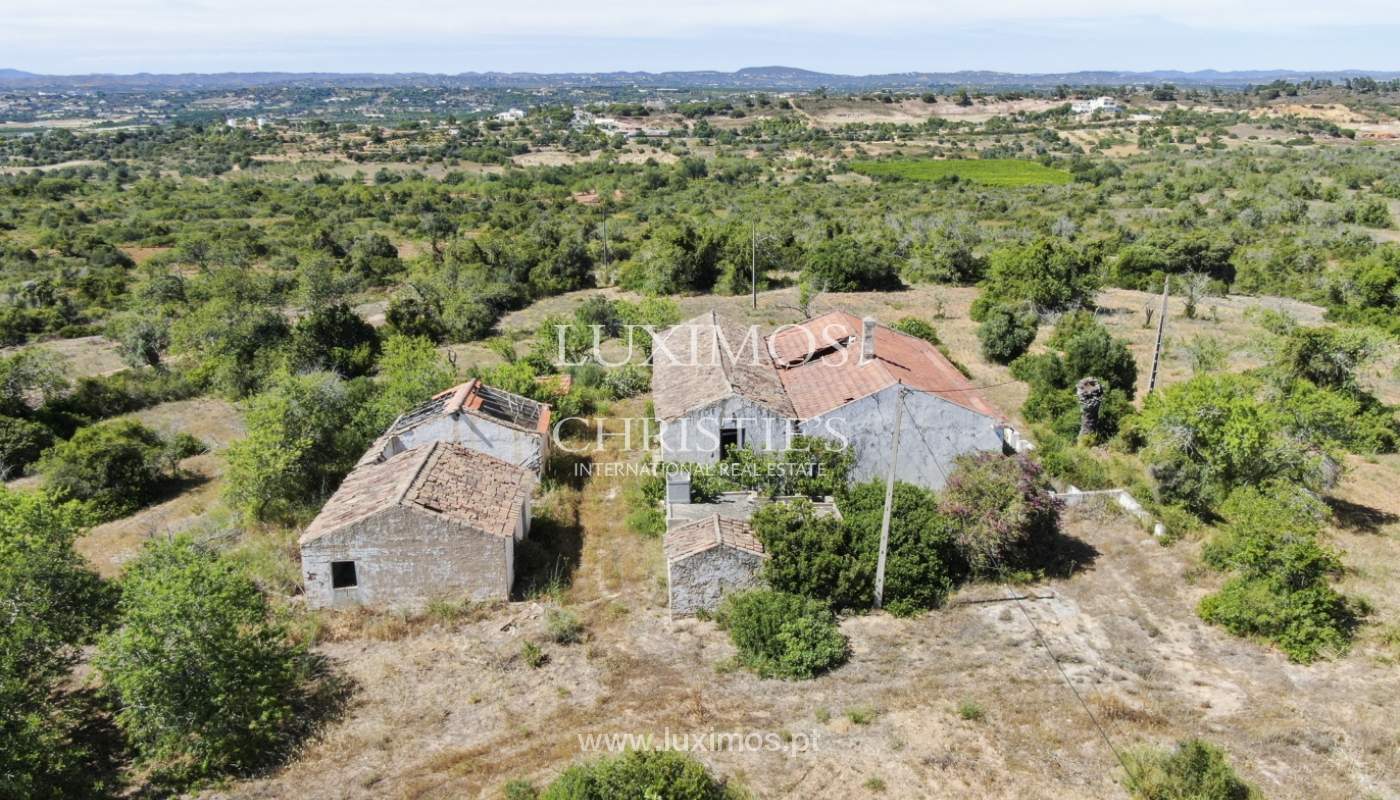 Land/Vacant Land's Image 6