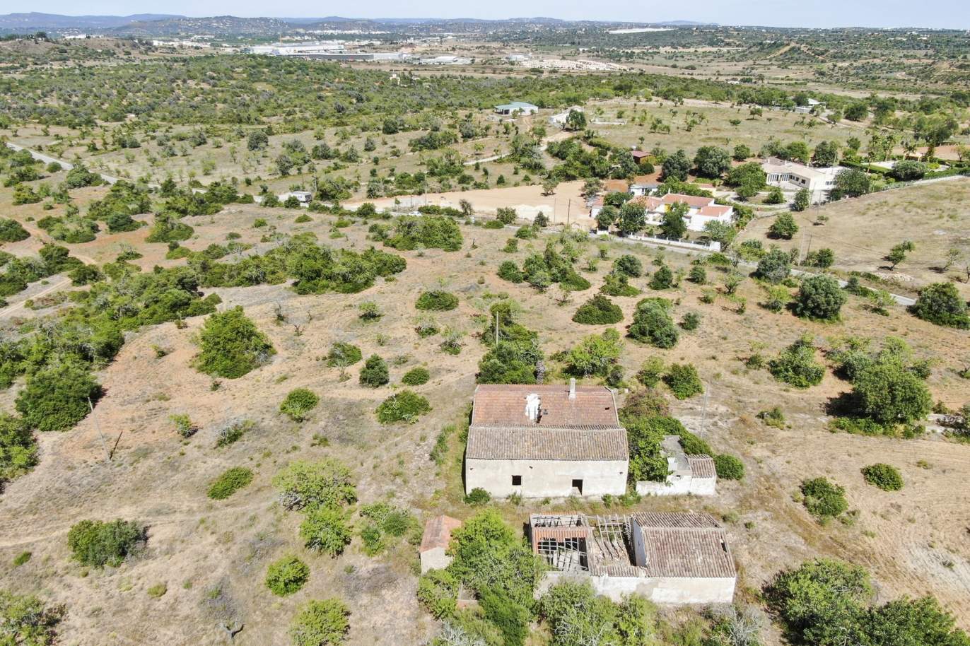 Quinta Rural, para venda, Pêra, Alcantarilha _171270