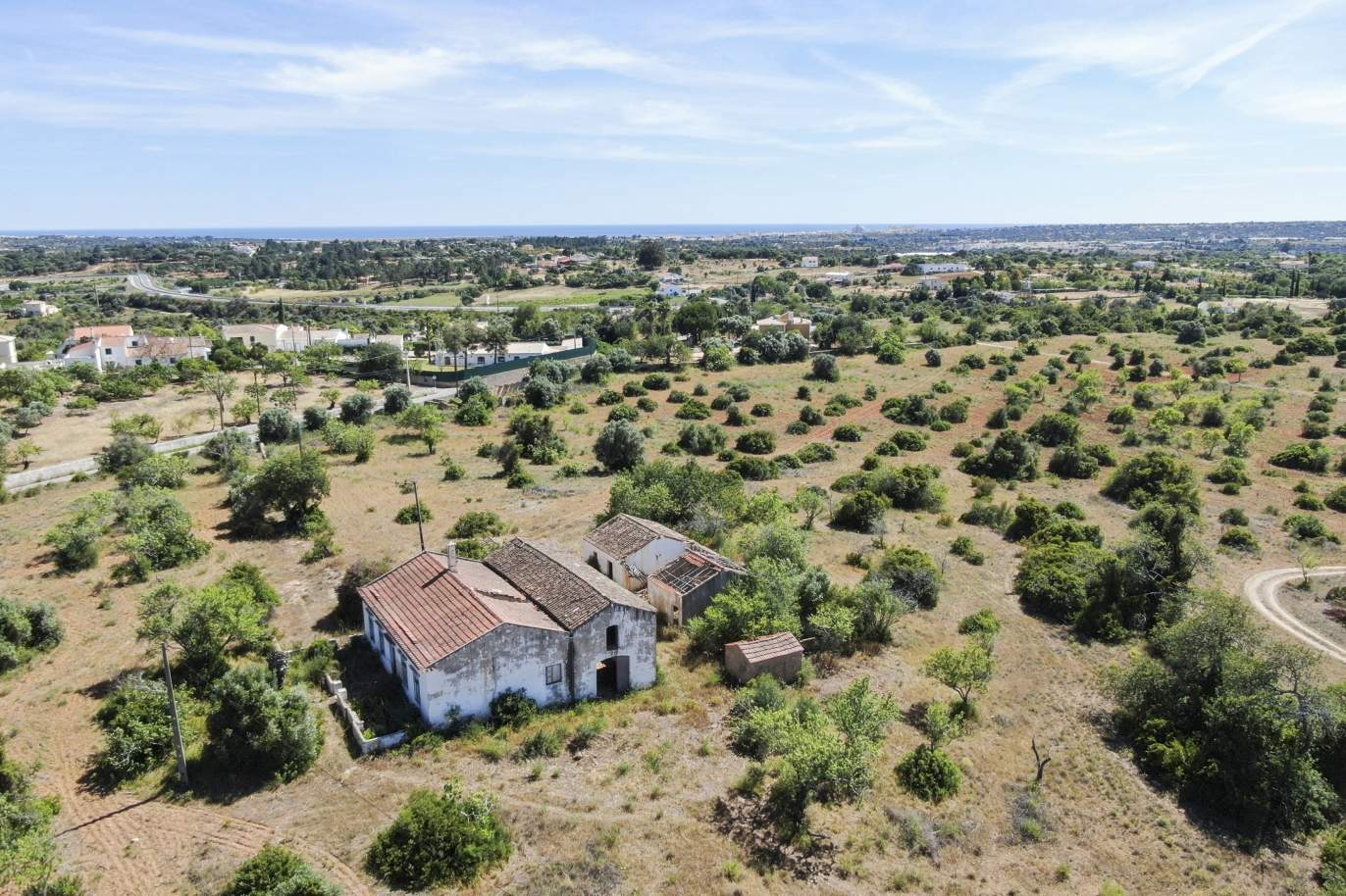 Quinta Rural, para venda, Pêra, Alcantarilha _171276