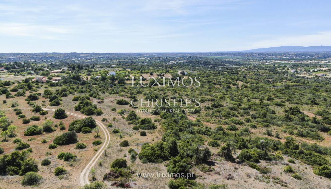 Land/Vacant Land's Image 13