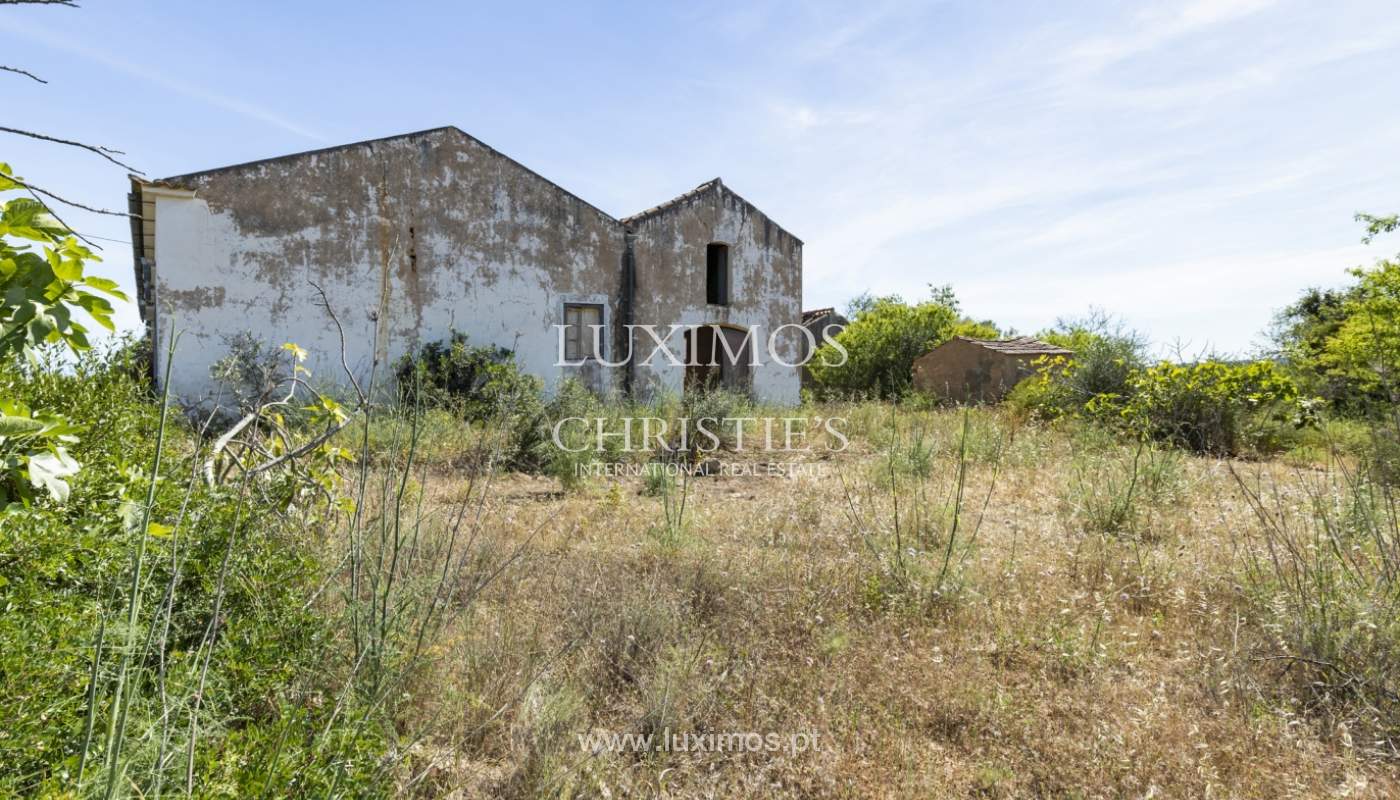 Land/Vacant Land's Image 10