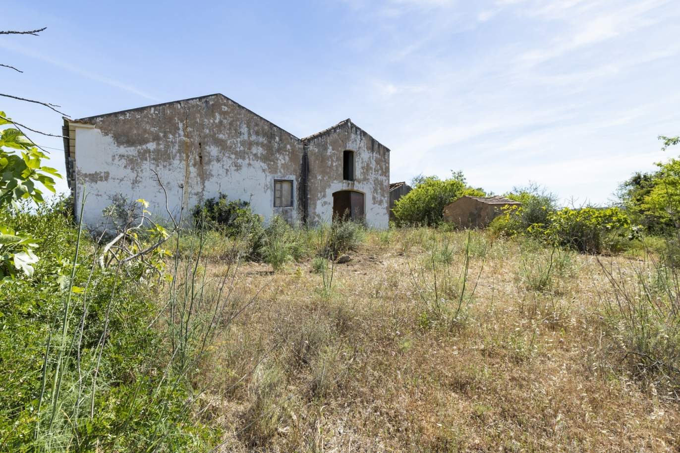 Quinta Rural, para venda, Pêra, Alcantarilha _171293