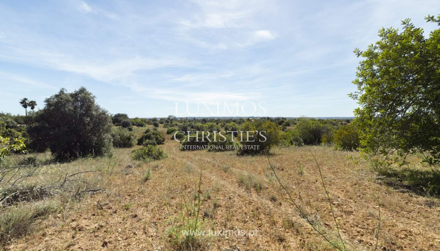 Land/Vacant Land's Image 3