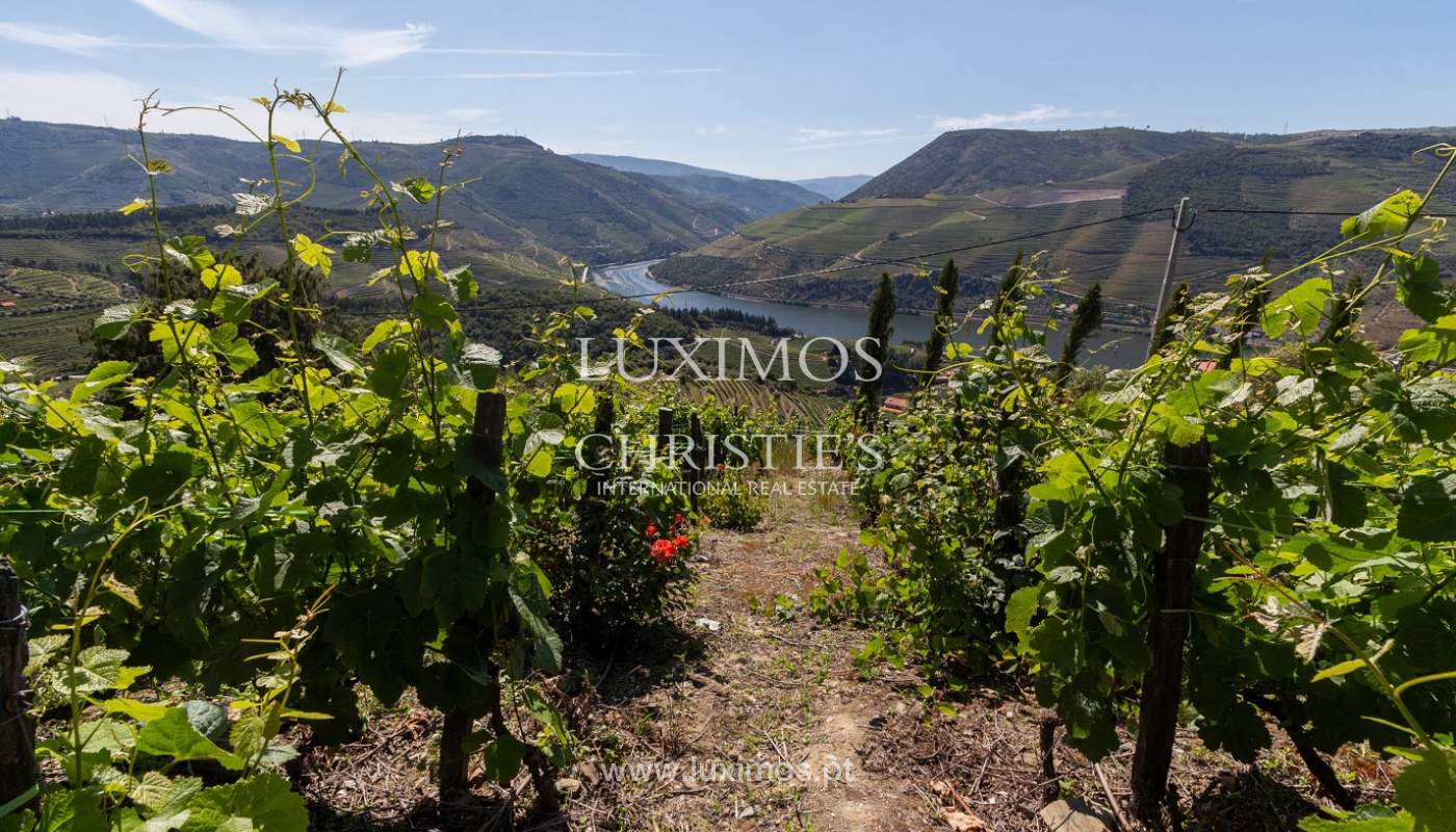 Venda de casa de campo em quinta vinícola, com vistas rio, Douro Valley_171525