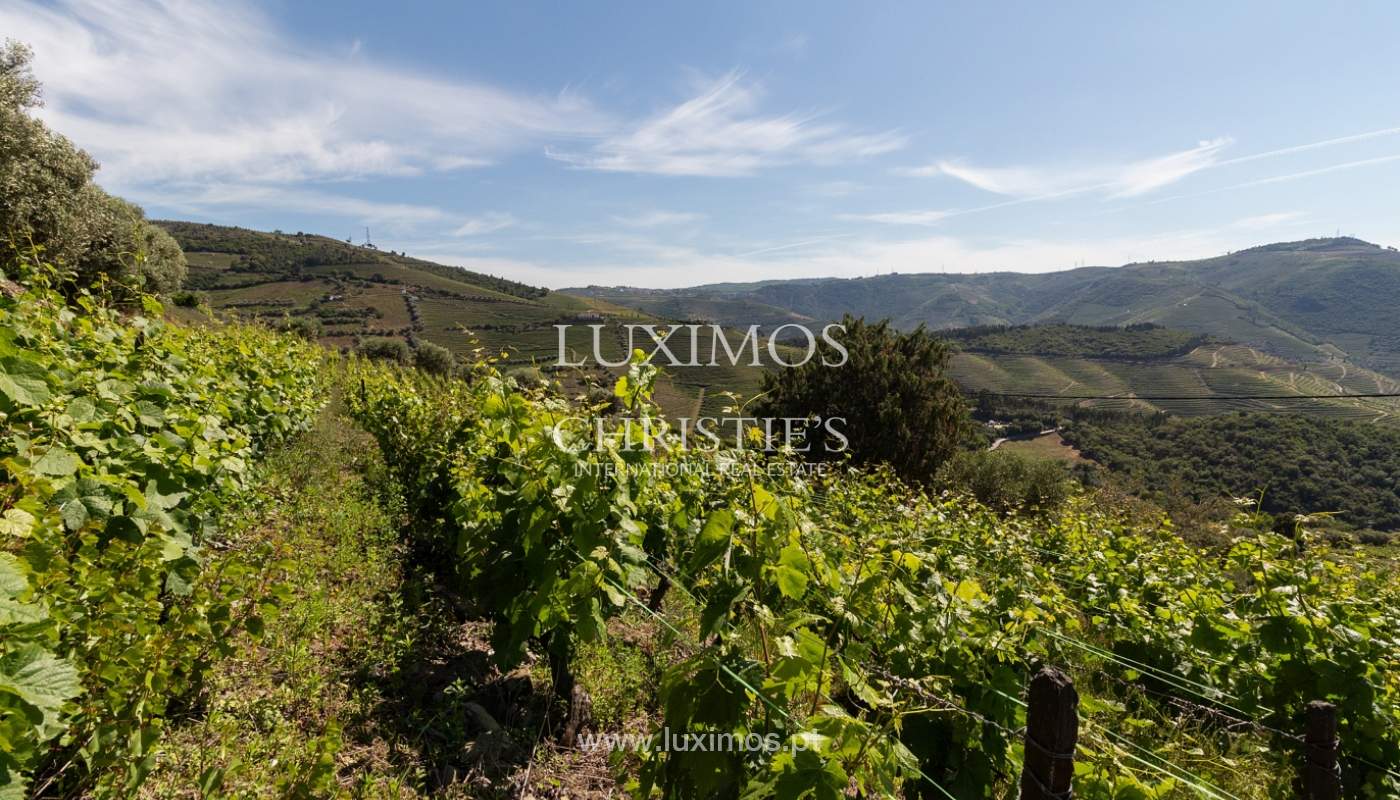 Venda de casa de campo em quinta vinícola, com vistas rio, Douro Valley_171526